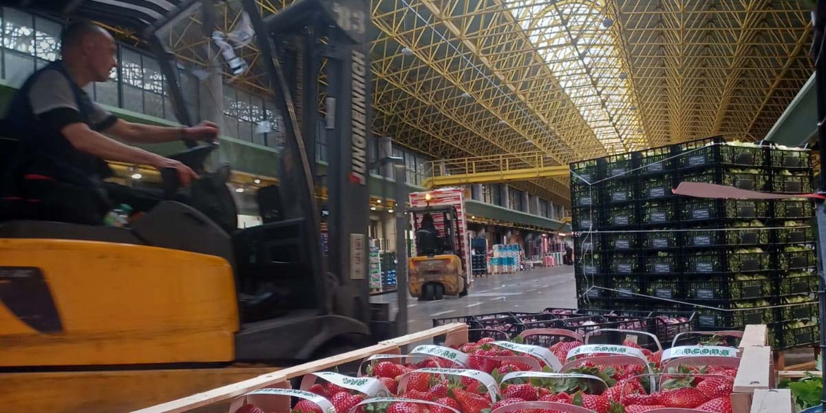 «Albicocche: troppa merce e non ancora pronta»